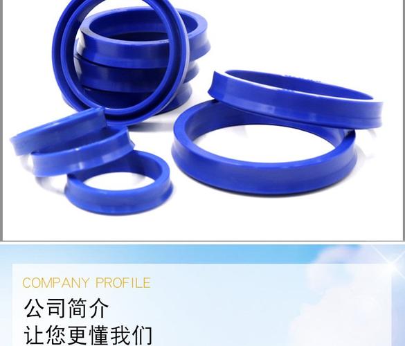 華奇工廠(chǎng)耐磨密封圈o型藍(lán)色氟膠橡膠idu高壓odu非標(biāo)規(guī)格骨架油封